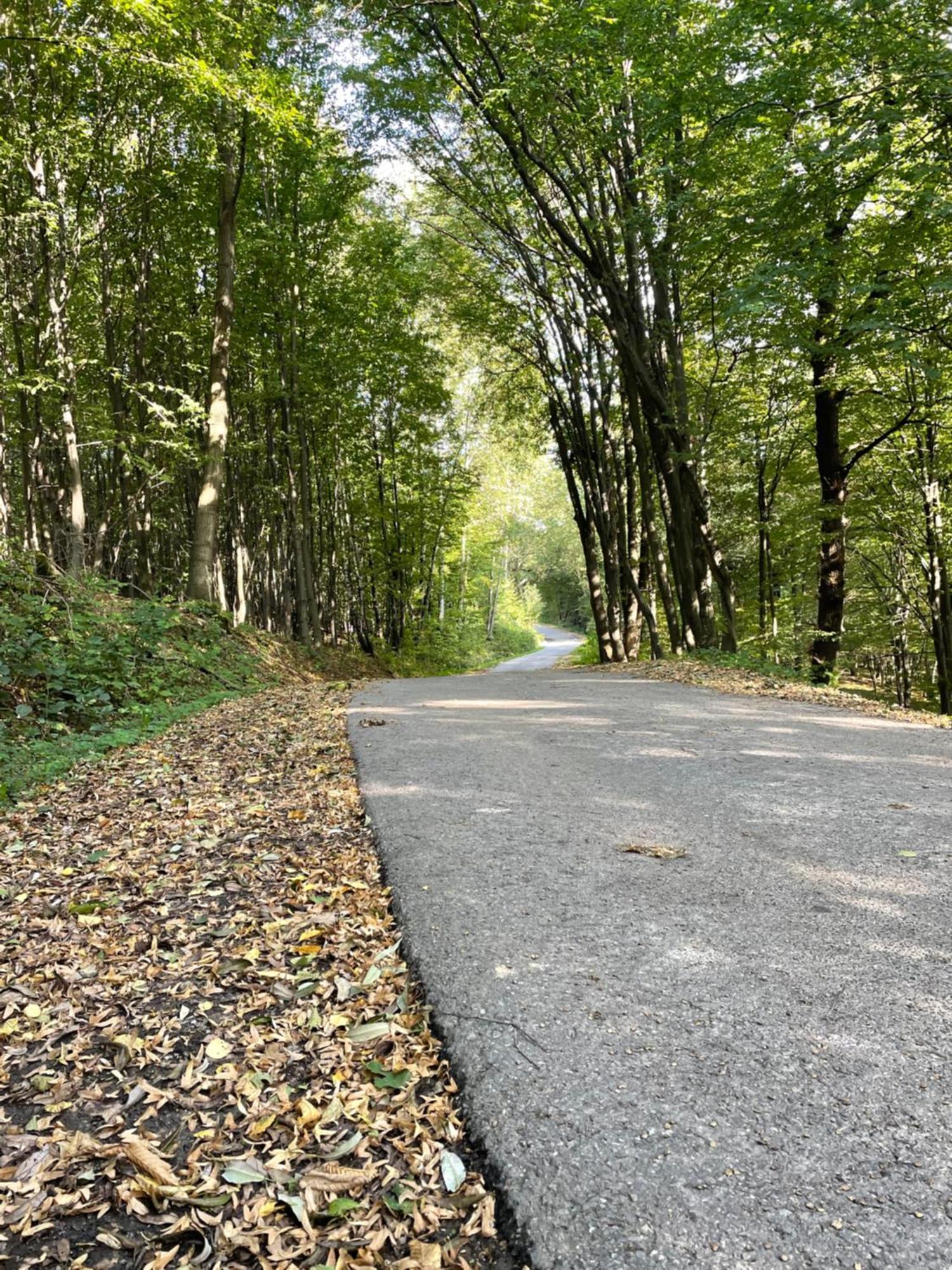 Wioska Jasia I Malgosi Izdebnik Экстерьер фото