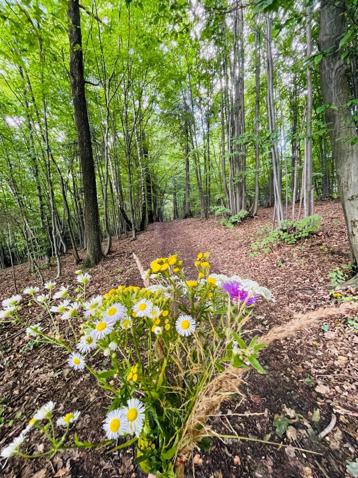 Wioska Jasia I Malgosi Izdebnik Экстерьер фото