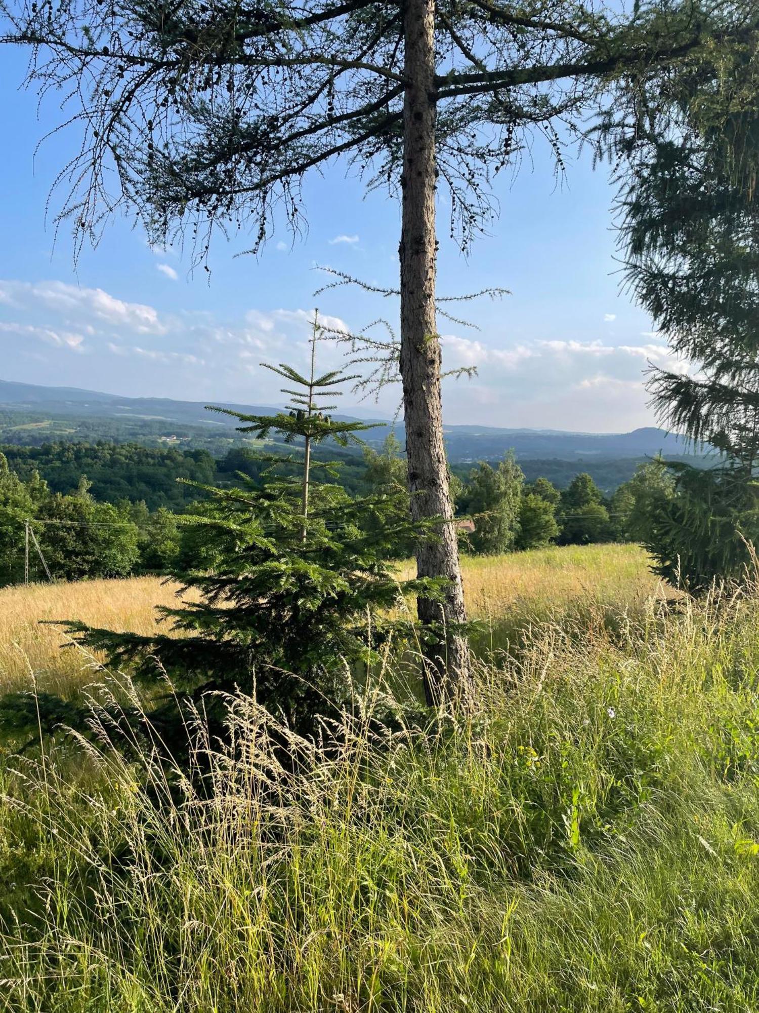Wioska Jasia I Malgosi Izdebnik Экстерьер фото